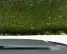 2022/72 Range Rover Sport First Edition D350 38